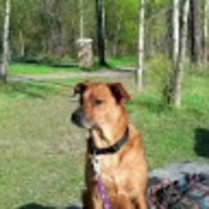 Meet your Posher, Crystal